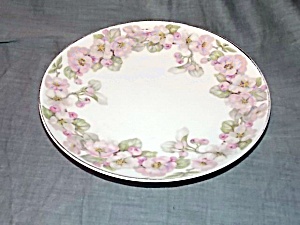 Jaeger Luncheon Plate Apple Blossoms
