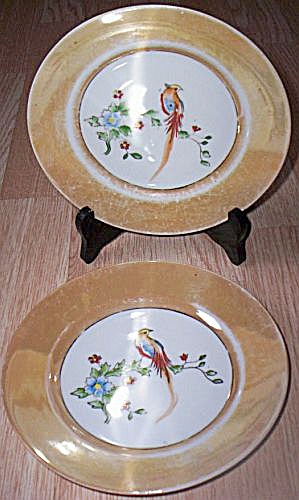 2 Porcelain Salad Plates Bird Center