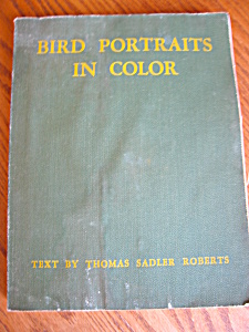 Vintage Bird Portrait Book