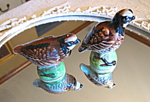 German Vintage Bird Shakers