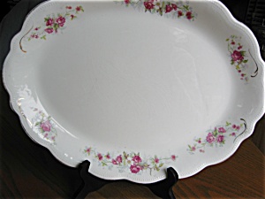American Antique Limoges Platter