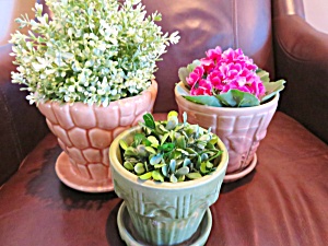 Flower Pot Vintage Trio