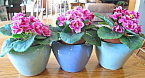 Zanesville Stoneware Vase Planters