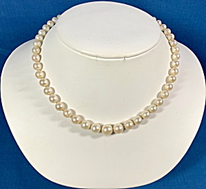 14k White Gold Clasp 15 Inch Genuine Pearls Necklace