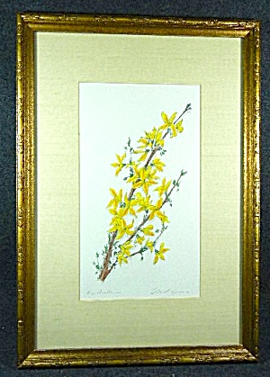 Framed And Matted Artist Signed Print Of Flowers
