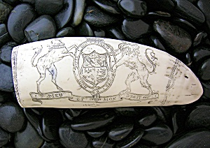 Resin Repro Ivory Scrimshaw Carving The Brandenberg