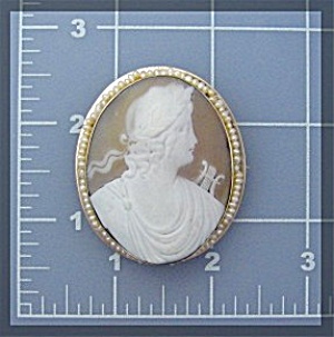 14k Gold Shell Cameo Seed Pearls Brooch