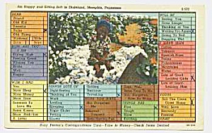 1948 Derogatory Black Americana Postcard