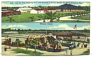 1954 Fla Barnum/bailey Circus Postcard