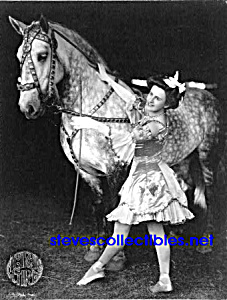 C.1908 Circus Girl Costumed With Horse - Photo Rights