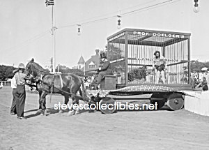 C.1909 Society Circus Chas. Doelger Lion Cage - Photo