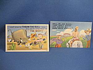 Two Sanborn Cartoon Postcards