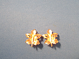 Bsk Gold Leaf Earrings