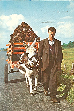 Ireland Donkey And Cart 1970 Postcard Cs10165