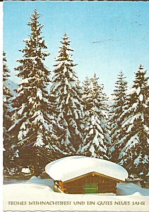 German Merry Christmas Happy New Year Postcard Cs11220
