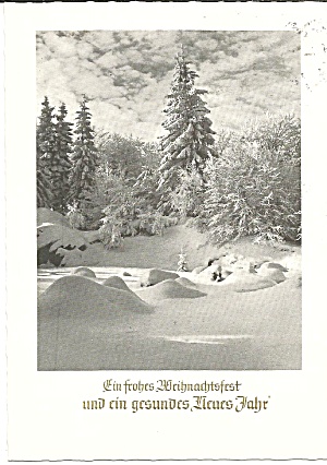 German Merry Christmas Happy New Year Postcard Cs11228