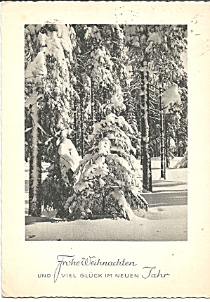 German Christmas Post Card Tree In Snow Cs11301