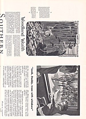Southern Railway System 2 Ads Post Wwii Listing Features Of The South Lot0012
