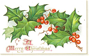 Merry Christmas Raphael Tuck Postcard P12491