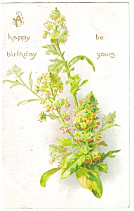 Birthday Tuck S Postcard P12809 1908
