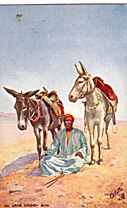 An Arab Donkey Boy Picturesque Egypt Raphael Tuck P25412