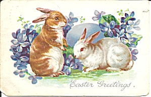 Easter Postcards Tuck S Postcard P37325 1906
