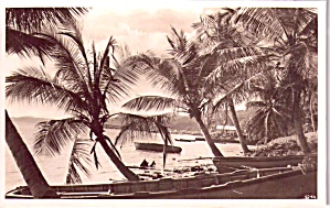 Coast Near Trinidad P37877