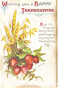 Clapsaddle Thanksgiving Wheat Postcard P4027