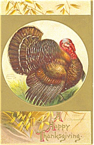 Clapsaddle Thanksgiving Turkey Postcard P4028
