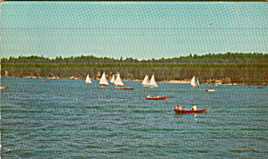 Boating On The Lake Sail Boats Postcard P41023