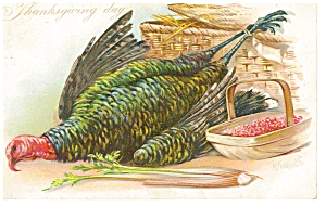 Thanksgiving Postcard Raphael Tuck Ca 1908 P7467