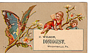 C Wilson Druggist Trade Card Tc0111