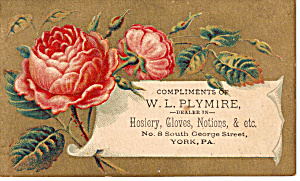 W L Plymire Hoisery Gloves Notions Trade Card Tc0117