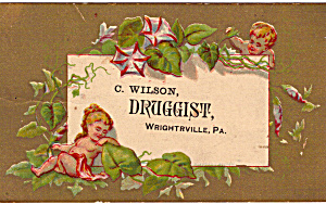 C Wilson Druggist Trade Card Tc0119