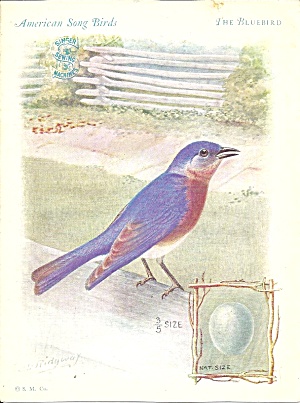Singer Sewing Machines The Bluebird Trade Card Tc0237