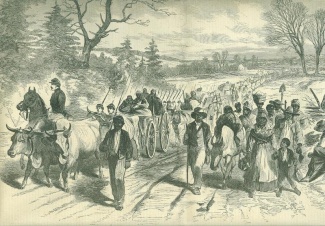 Freed Negroes Coming Into Union Lines At Newbern, North Carolina