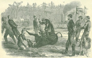 Army Blacksmith Shoeing A Mule